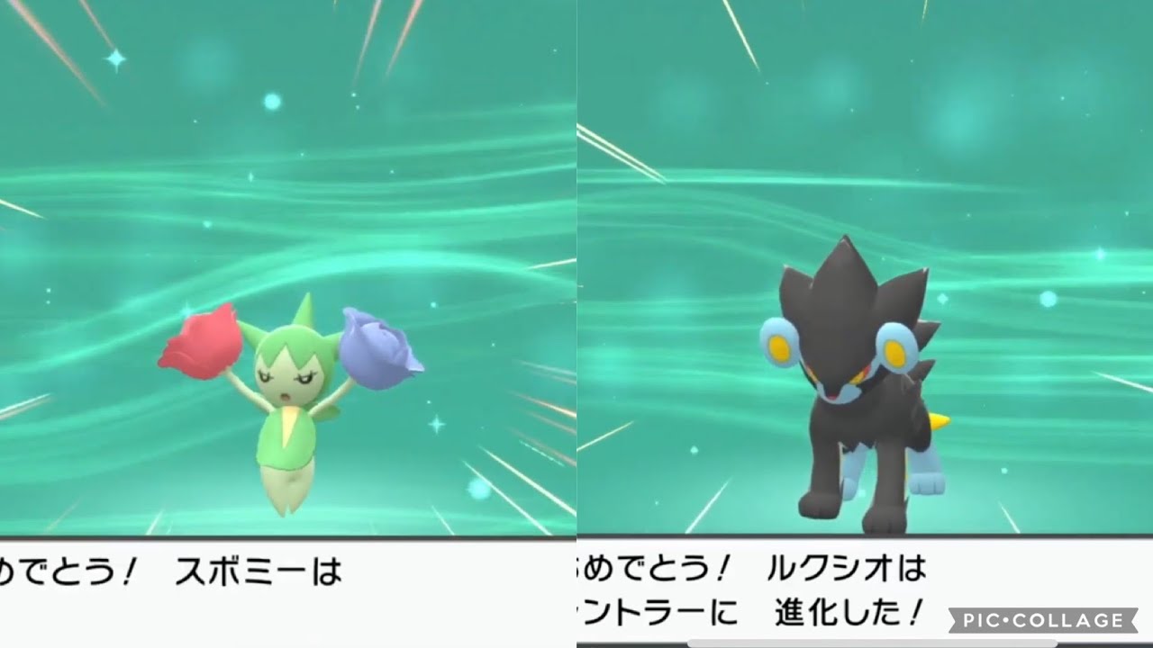 【＃ポケモン】#3 全然懐いてくれなかったスボミーがついに、、？！大好きなレントラーも進化して最強