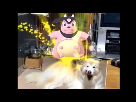ポケモンGO  ミルタンク