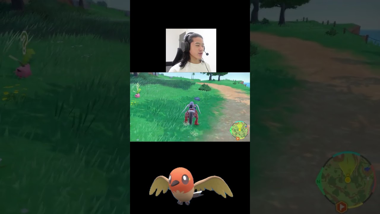 ヤヤコマの色違いを厳選していく！！！#ポケモンsv #色違い