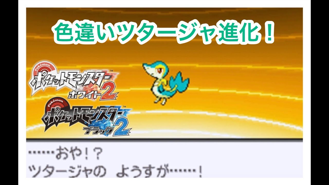 【色日記】色違いツタージャが進化！！(ポケモンBW2)