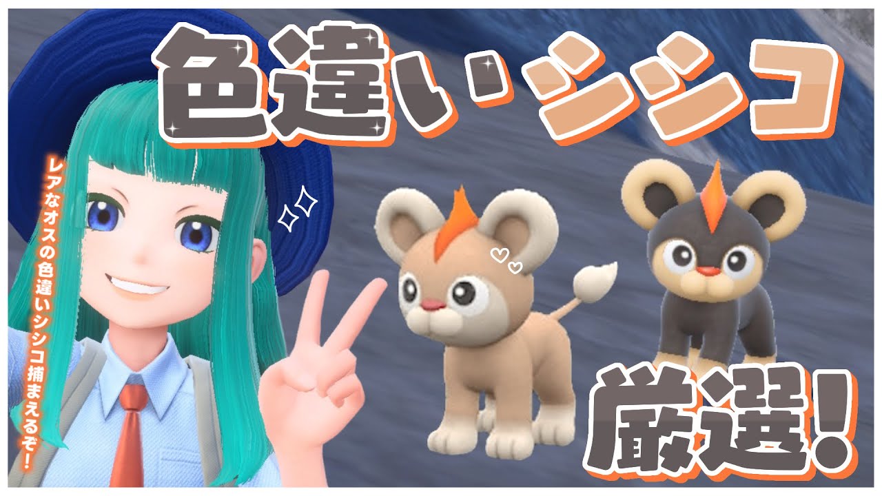 【#ポケモンSV 】色違いシシコ&カエンジシ厳選！#62【Lapinna】