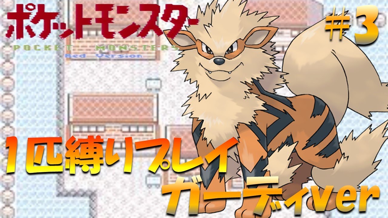 【ポケモン初代】ポケモン1匹縛りプレイ!! ガーディきみに決めた！part 3【ゲーム実況】【縛りプレイ】