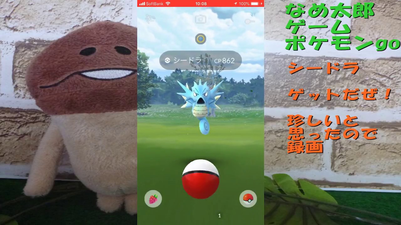 【ポケモンgo】野生の「シードラ」発見！珍しいと思ったので録画！ウォーターフェスティバル！