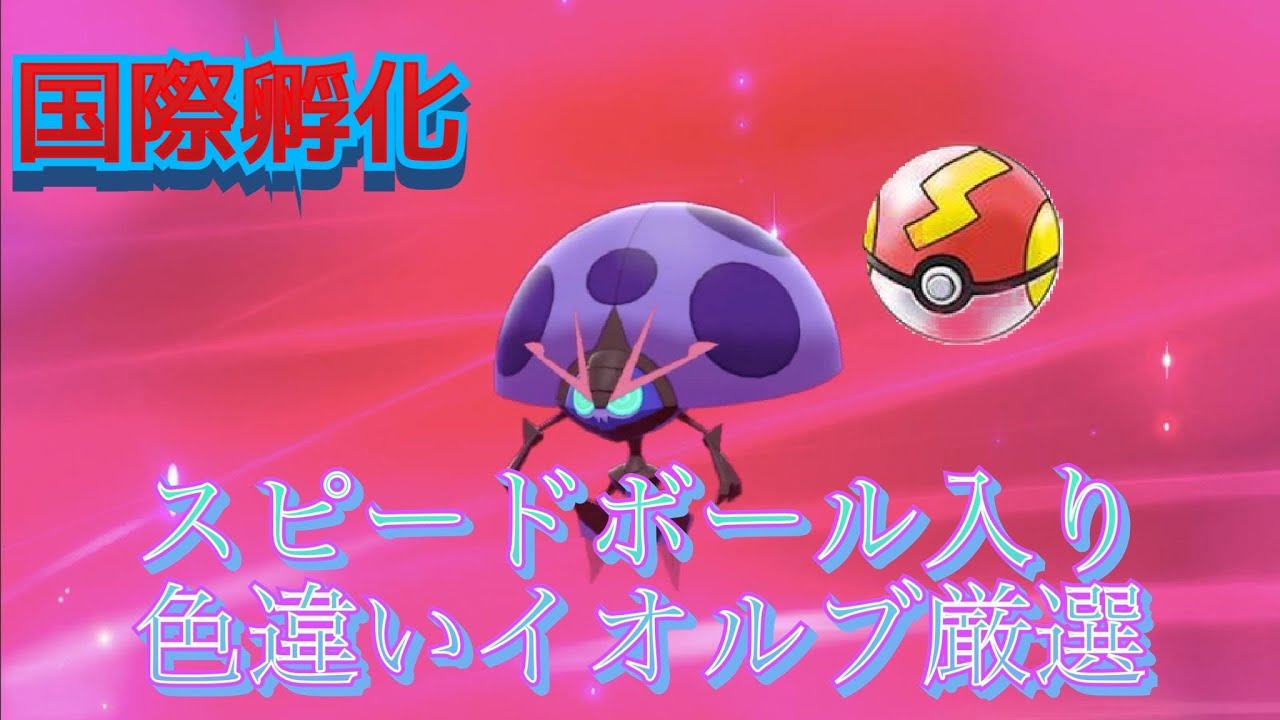 【ポケモン剣盾】どうしてもスピードボール入り色違いイオルブが欲しい【国際孵化】