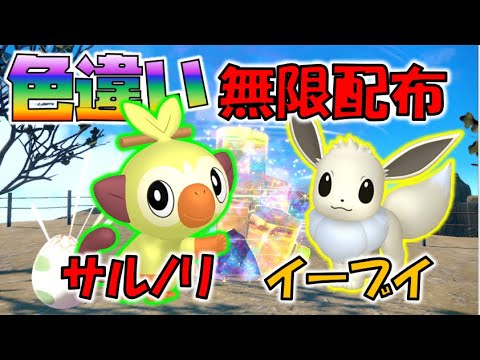 色違いサルノリ・イーブイ無限配布【ポケモンSV】