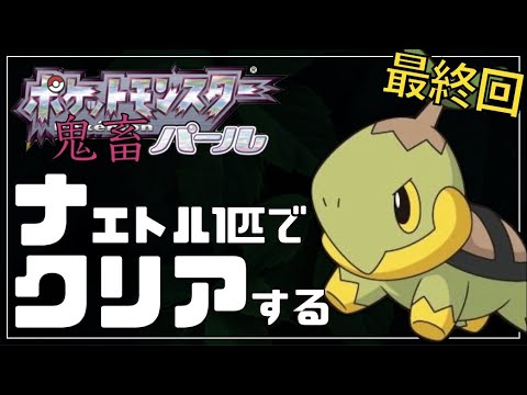 【ダイパリメイク記念】パールをナエトル単騎縛りでクリアする#5最終回【ポケモンDPt】