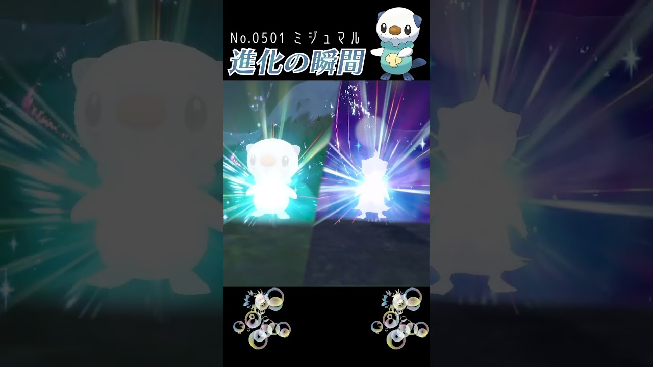 【バイオレット】ミジュマル 進化の瞬間 #shorts