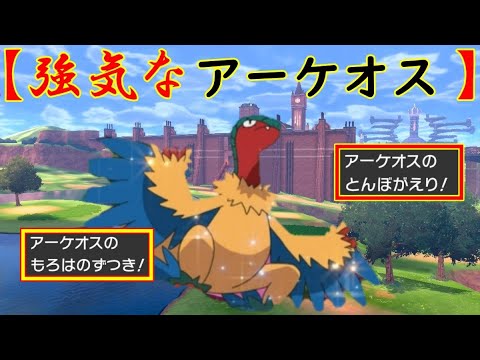【強気の君】アーケオスは強い？？【ルカリオ絶対選出】【ポケモン剣盾】