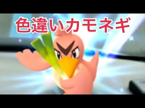 ポケモンGO 色違いカモネギ