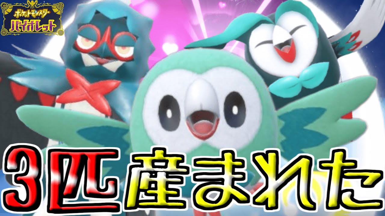最強ジュナイパーを倒してラブボとムンボ入りの色違いモクローが欲しい‼︎3匹産まれた!! 【ポケモンSV】