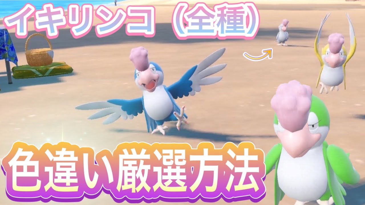 【超簡単】全フォルムイキリンコの色違いを簡単コンプリートする方法【ポケモンSV】
