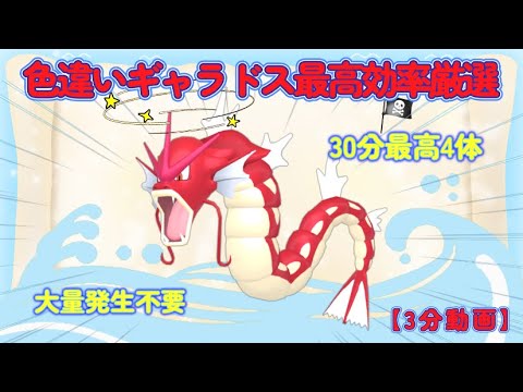 30分最高4体色違いギャラドス最高効率厳選【3分動画】#ポケモンsv #最高効率 #色違い #大量発生不要 #赤いギャラドス