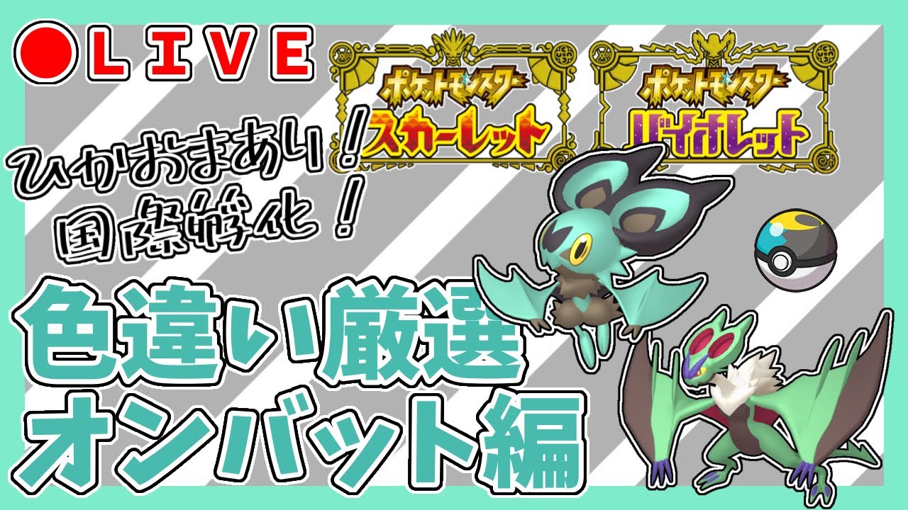 【ポケモンSV】色違いオンバット孵化厳選～２日目～【ポケモンスカーレットバイオレット/PokémonScarletViolet】