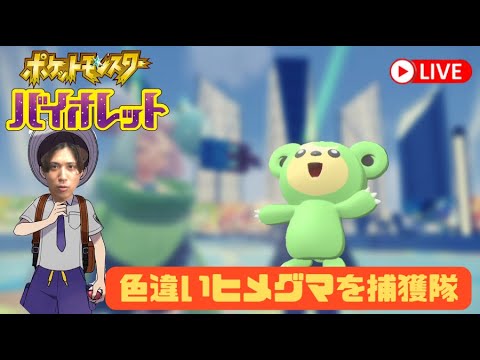 【ポケモンSV】ガチグマのために、色証ヒメグマ狙います