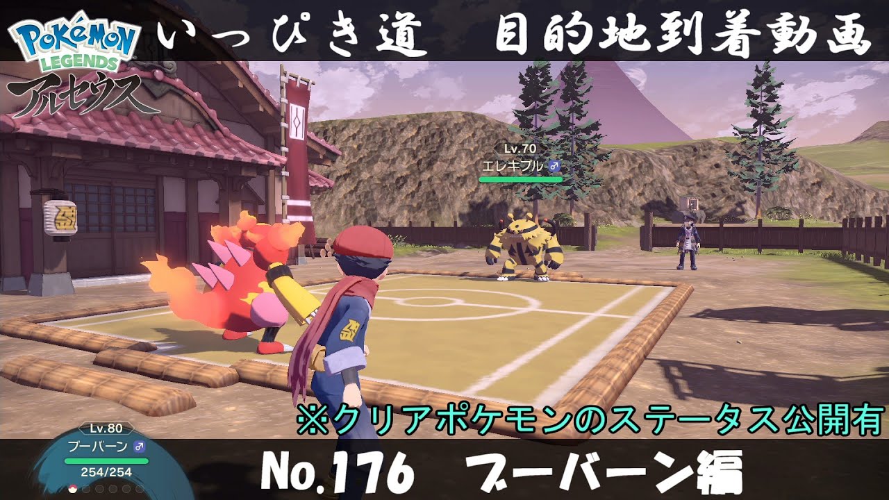 【いっぴき道攻略】No.176 ブーバーン編【Pokémon LEGENDS アルセウス】