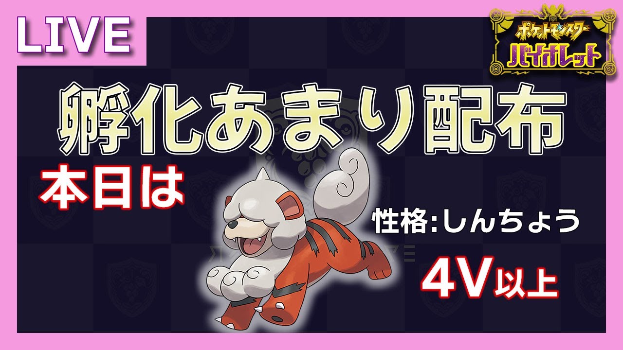 【ポケモン配布企画】ヒスイガーディ受け取りにきてください！！初見さんも大歓迎！【生配信アーカイブ】