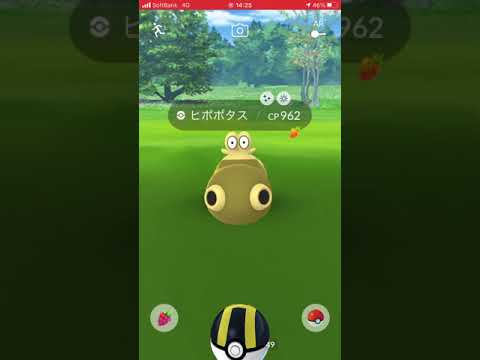 【ポケモンGO】色違い　ヒポポタス
