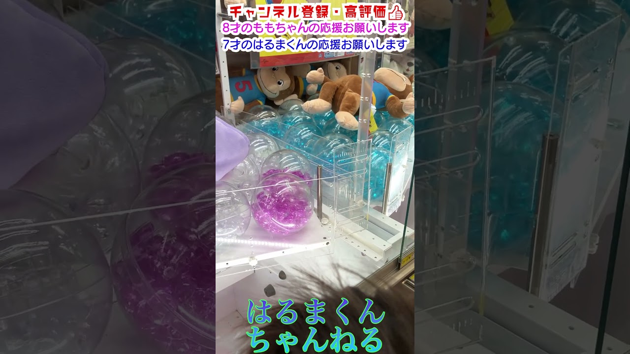 【 #UFOキャッチャー 】はるまくんの挑戦【 #ポケモン #メタモン 】#shorts