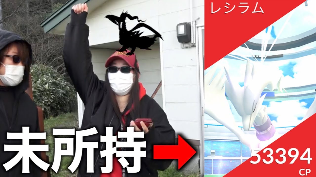 図鑑未登録のかぐやにレシラムを取らせてあげようとしたらすごい個体きた【ポケモンGO】