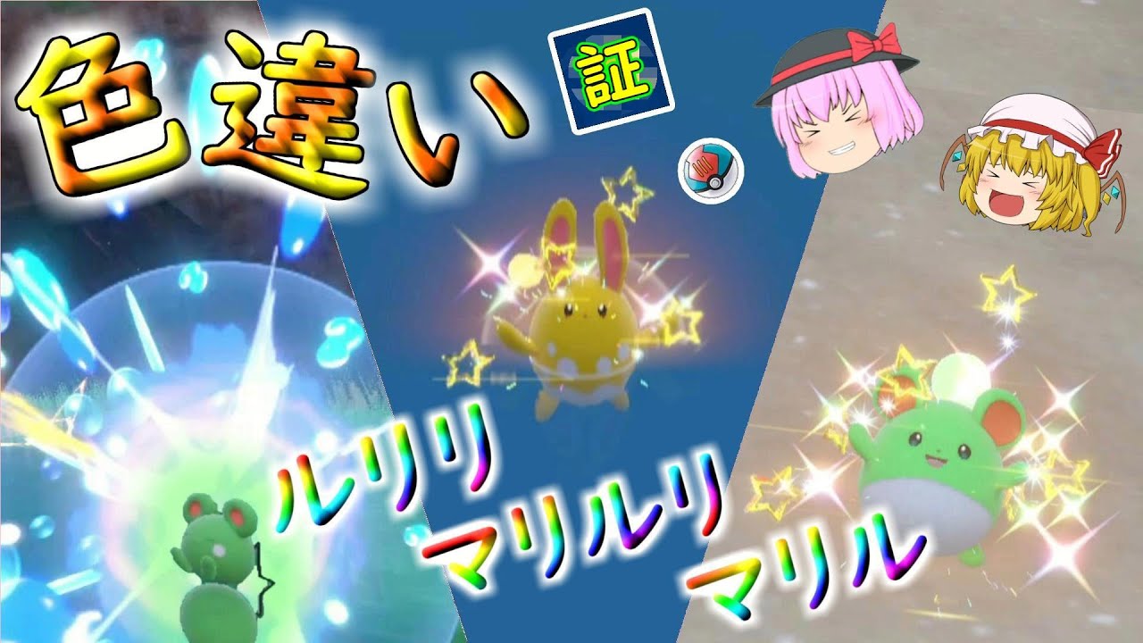 ポケモンSV「色違いのルリリ・マリル・マリルリ ゲット!!」