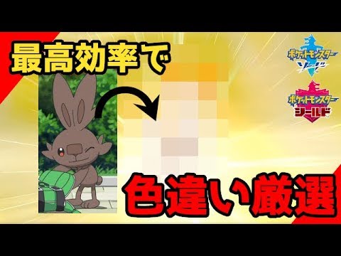 【ポケモン剣盾】最高効率で色違いヒバニーを厳選していた3.12%にいた男。【ソードシールド実況】