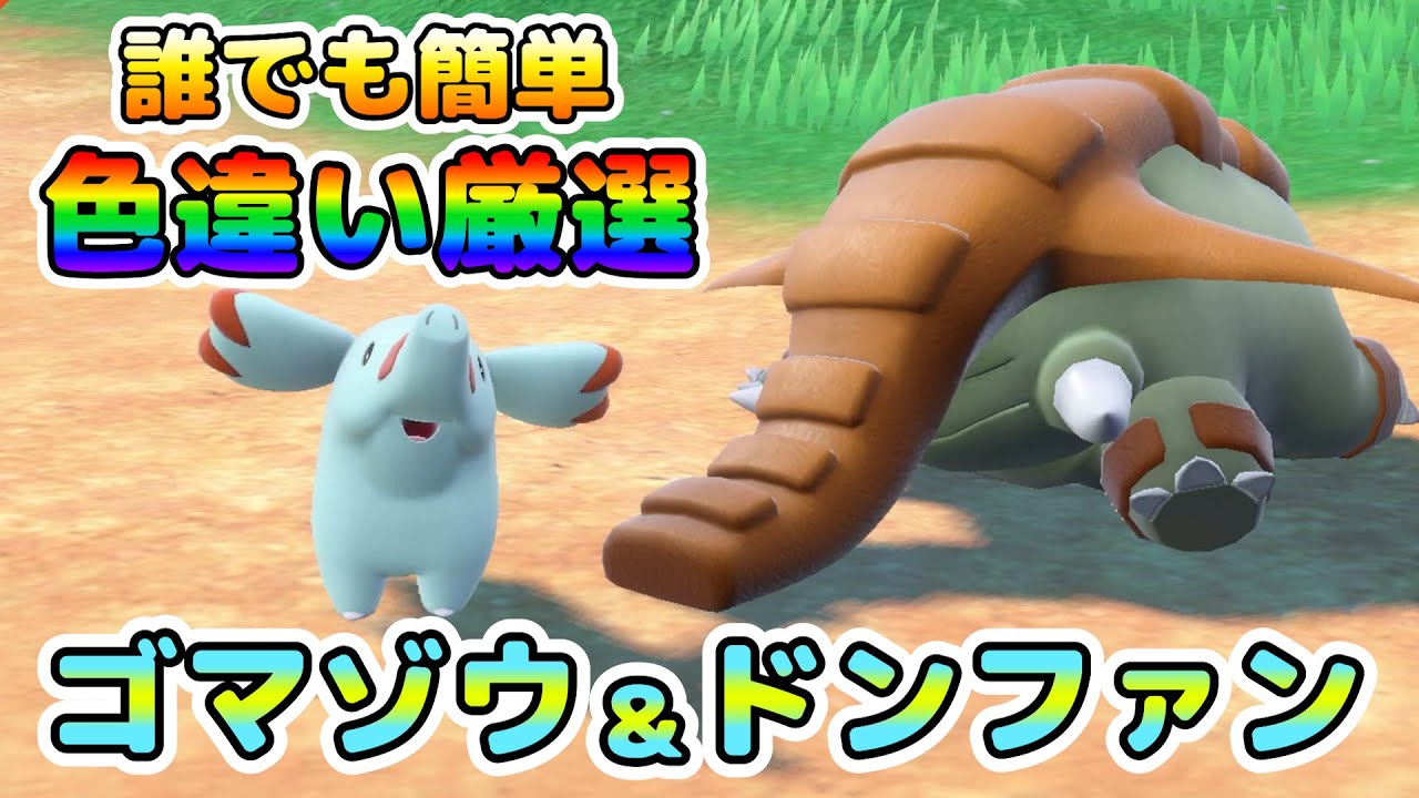 【色厳選】ゴマゾウ＆ドンファンの色違い厳選オススメ場所！大量発生無しで効率良く厳選可能！【ポケモンSV】