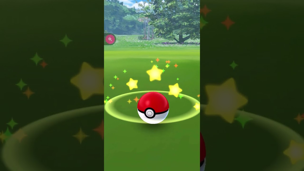 #shorts◇野生で出現ケーシー・・ではなくケーシィです！#312