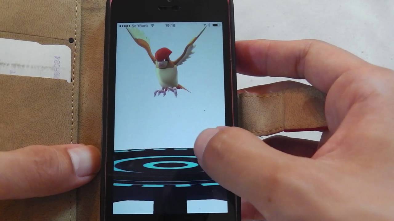 【ポケモンGO】コラッタとポッポで超高速レベル上げする方法