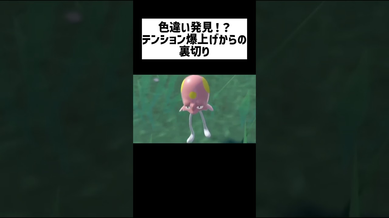 色違い発見！？メノクラゲの色違いかと思ったら○○○○○でしたｗｗｗ #shorts #ポケモンsv #ブルアカ