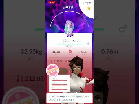 ポケモンgo ガラルポニータゲットチャレンジ　キタヨキタヨキタヨー！