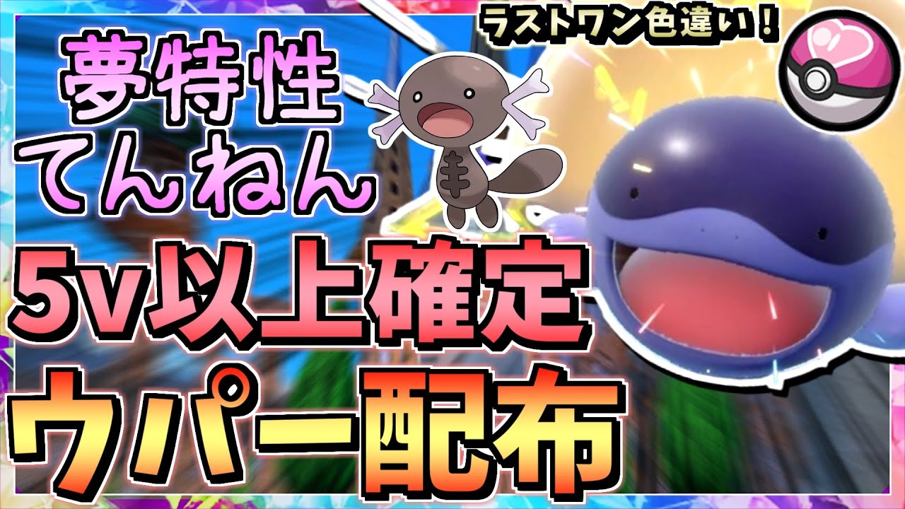誰でも参加OK 5V~6V ラブボ入り パルデア夢ウパー 配布･交換会！性格しんちょう 特性てんねん 遺伝技 ラストワン賞 色違いドオー【ポケモンSV ポケットモンスター】オシャボ