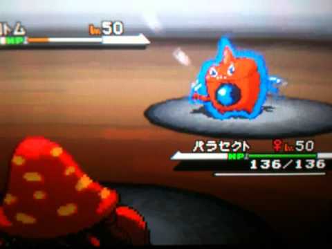 【ポケモン】虫統一パ～パラセクト無双～【BW】