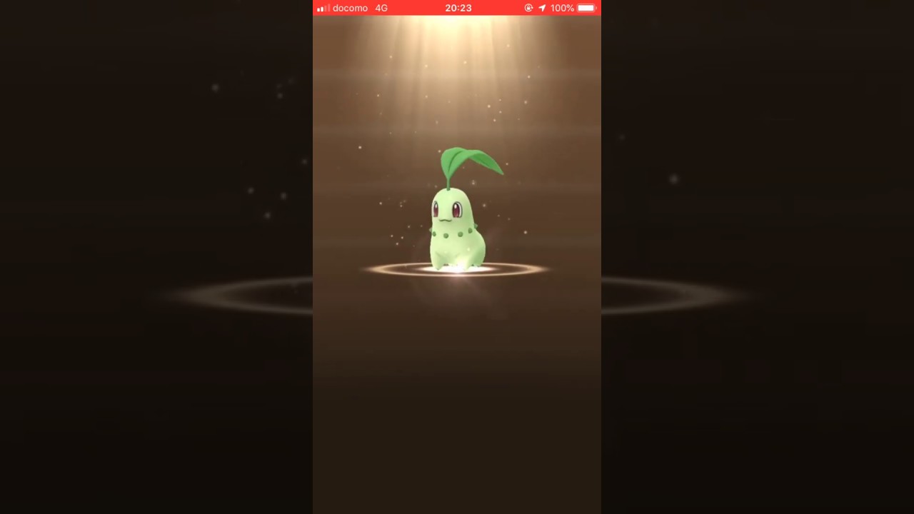 【ポケモンGO】2kmたまご チコリータ ジョウト地方152