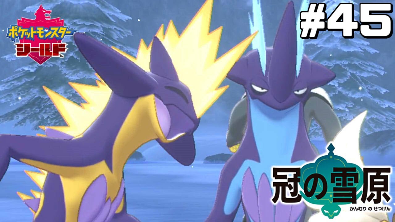 友達ができました【はじめてのポケモン剣盾】#45