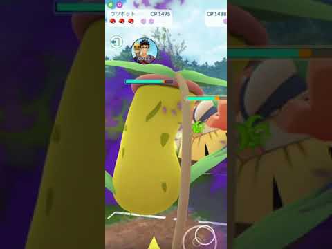 ウツボットで圧勝編その２ #スーパーリーグ #PokemonGO #shorts