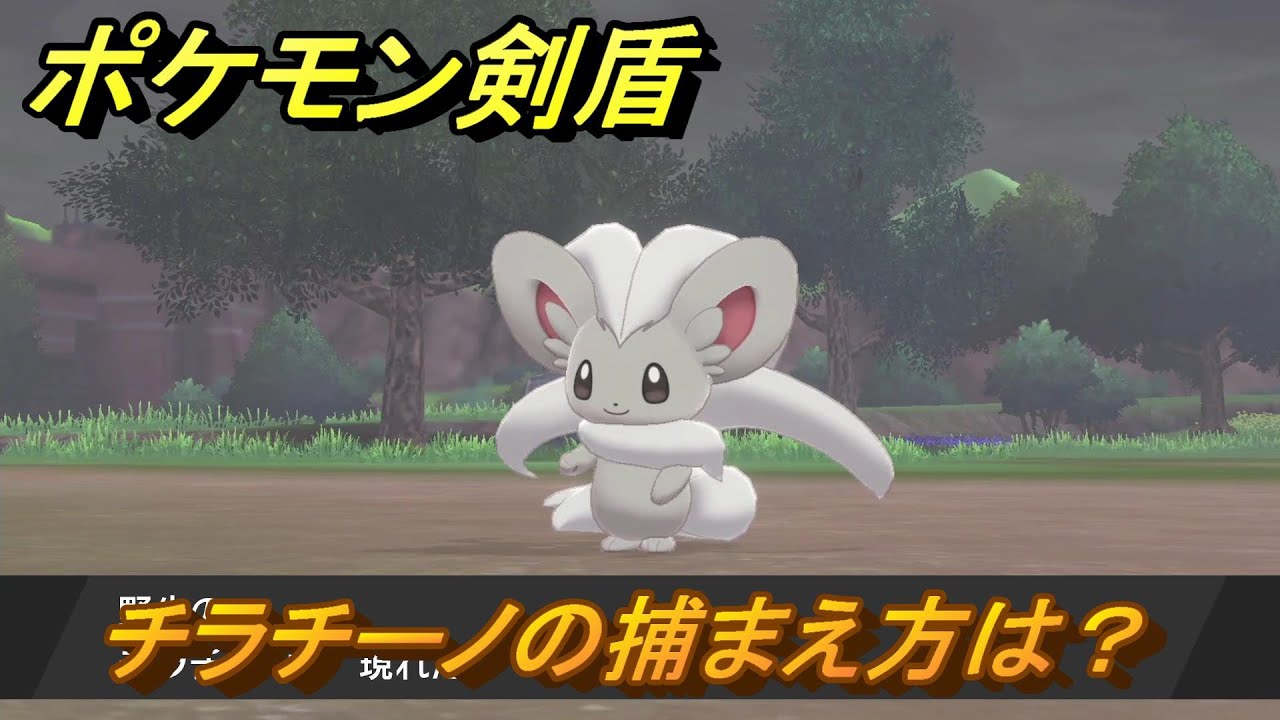 ポケモン剣盾　チラチーノの出現場所は？オススメの場所は？天気は？ポケモン図鑑コンプへの道！　最新版【ポケモンソード・シールド】