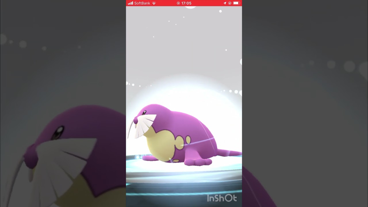 色違いのタマザラシをトドゼルガに進化させてみた！ #ポケモンgo #pokemongo #色違い #shorts