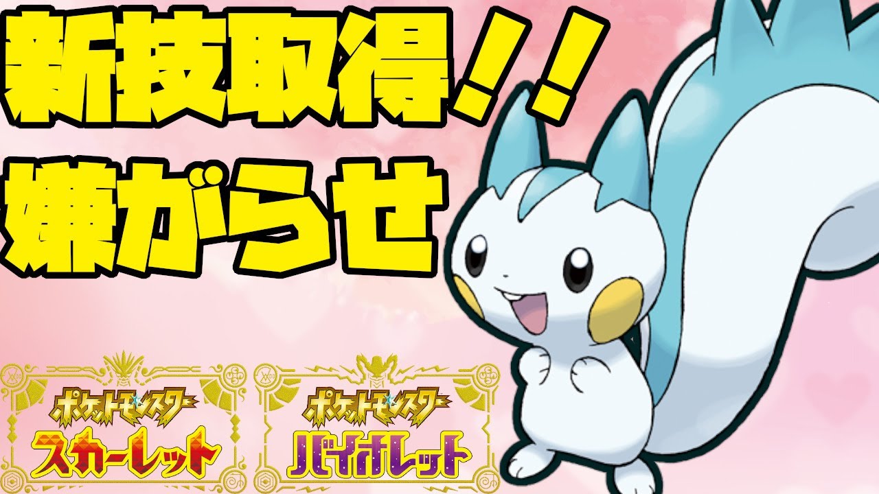 新規習得技で大活躍！？種族値は低いけどパチリスはやれる子です！【ポケモンSV】