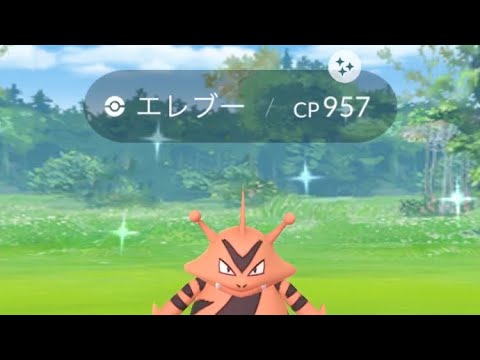ポケモンGO  エレブー色違い