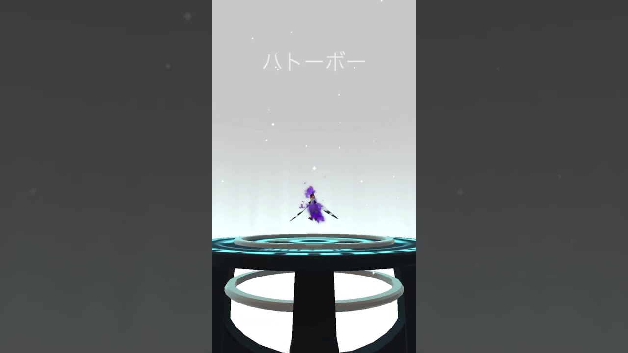 シャドウポケモン　マメパトの進化✨　#ポケモンgo #pokmongo #pokemongo #pokemon #pokemongame