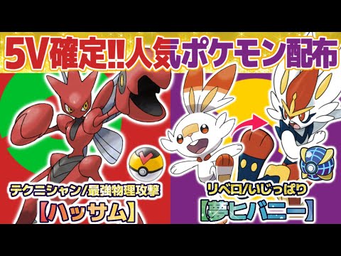 【ポケモンSV】5V確定！人気のポケモン配布会！夢ヒバニー、夢御三家、夢ガラルニャース、ハッサム、ミミッキュ、ドラメシヤ、コジオ、シェルダー、ルリリ、夢イーブイ、ヘイラッシャ、詳細は概要欄にも記載！