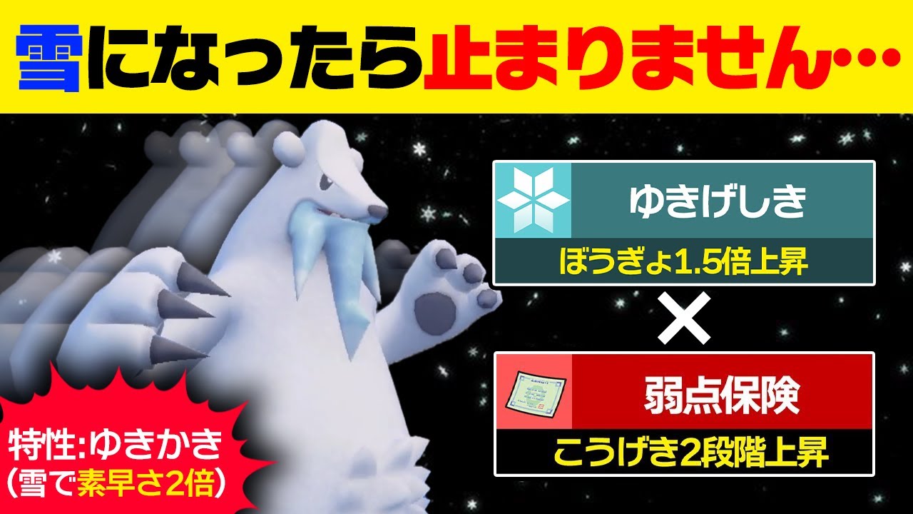 【抽選パ】ツンベアー「雪景色で防御上がります！弱点多いです！」←弱保持たせたらメッチャ強いのでは？　 #50-3【ポケモンSV/ポケモンスカーレットバイオレット】