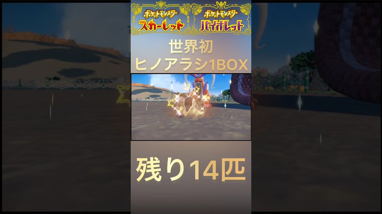 【ポケモンSV】ヒノアラシ1BOX分チャレンジ16匹目✨#shorts