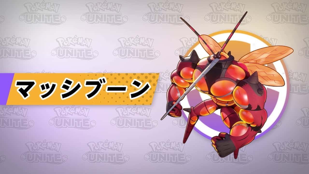 【Solo】マッシブーンに可能性しか感じていない【ポケモンユナイト】
