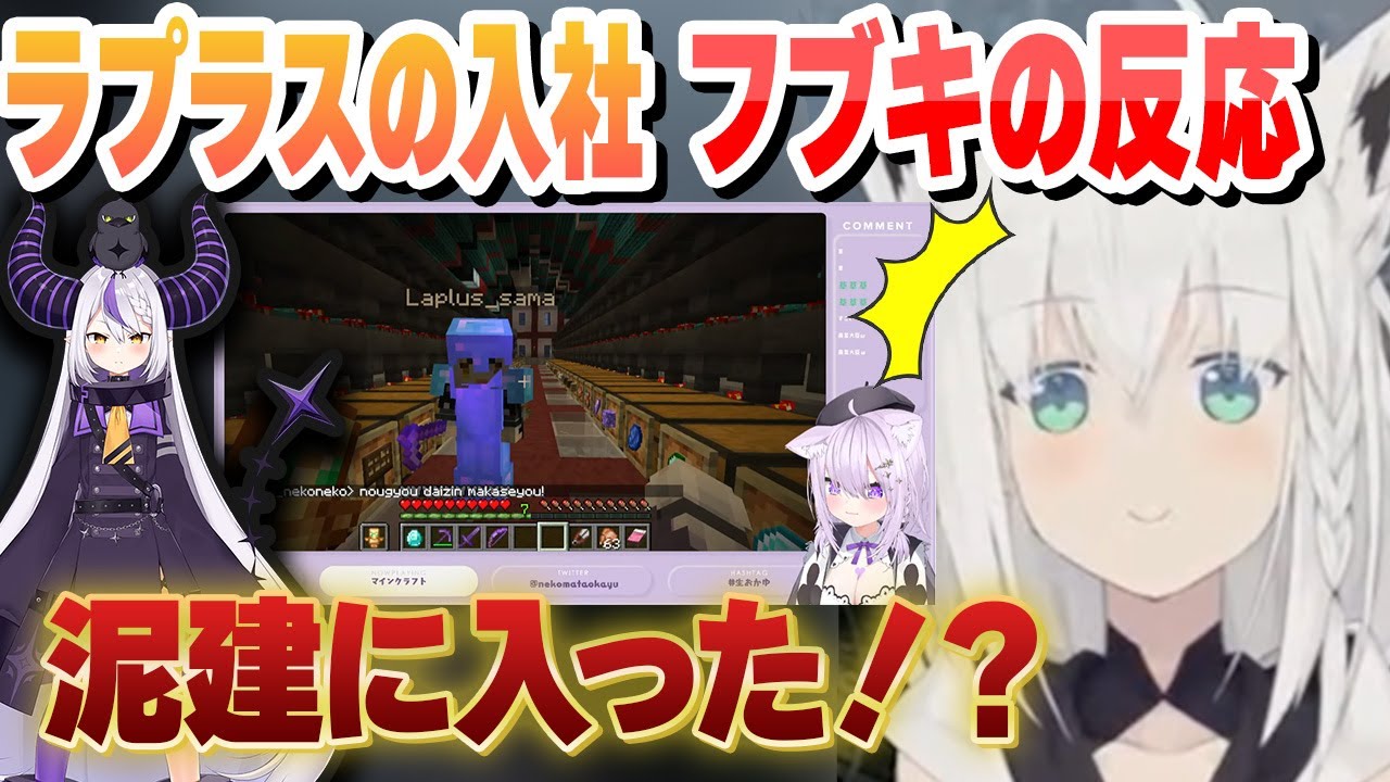泥棒建設にラプラスが加入したことを知ったフブキの反応【白上フブキ/ホロライブ/切り抜き】