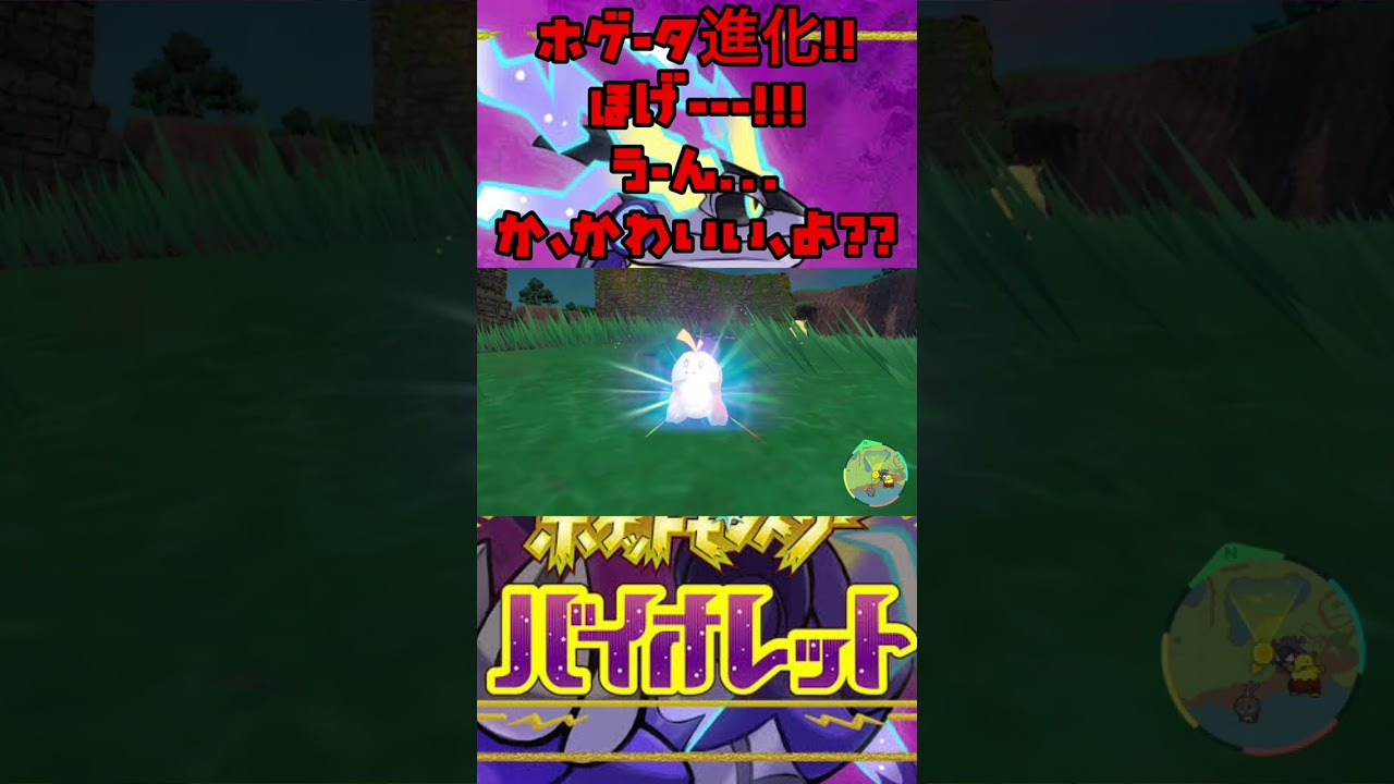 【ホゲータ進化ァ！】オーダイルを思い出す、、でもホゲータはぶちゃ可愛い！【ポケモンSV】