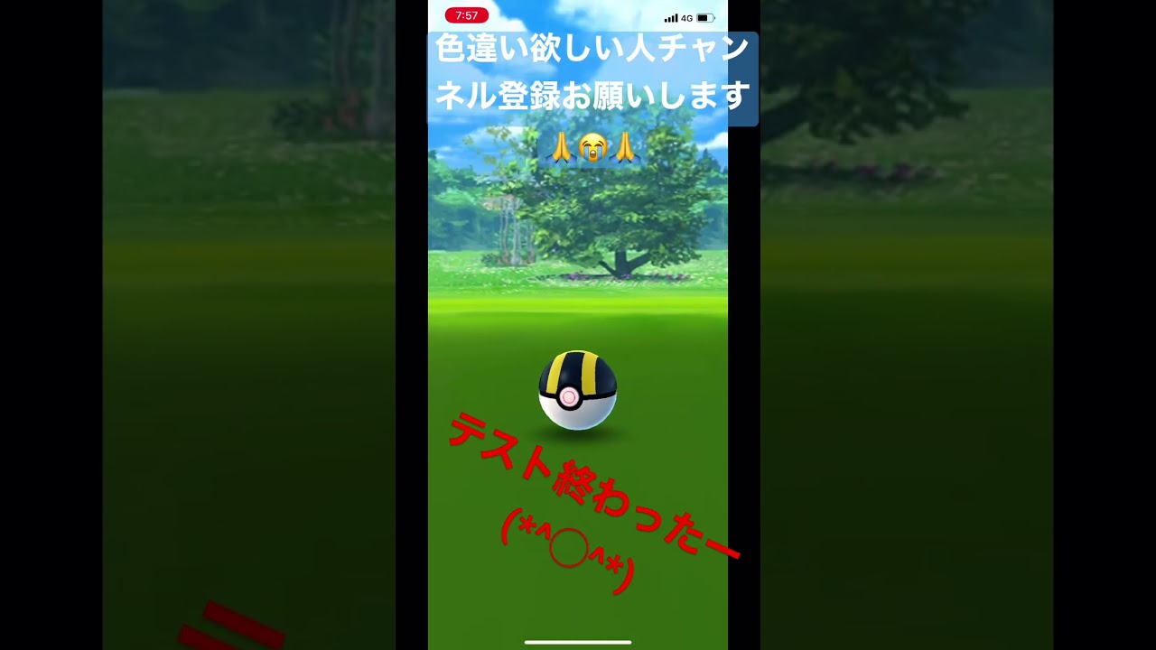 ビリリダマの色違い初ゲット！#shorts #short #ytshorts #ポケモン #色違い #pokemongo #ポケットモンスター #ポケgo #pokemon #ポケモンgo