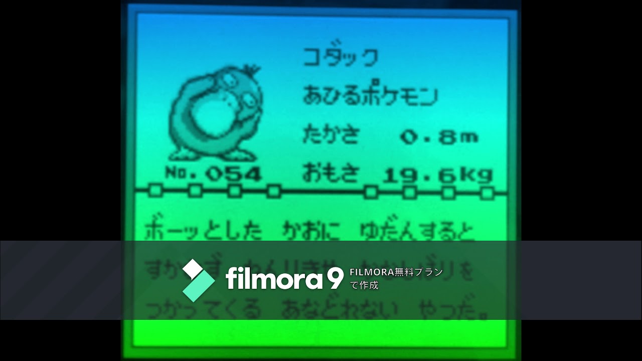 【図鑑NO054】コダック　鳴き声