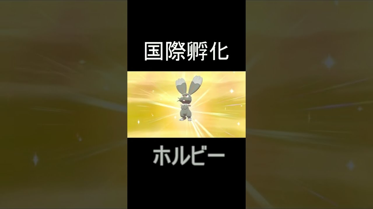 【ポケモン剣盾】国際孵化　ホルビー　shiny Bunnelby #shorts