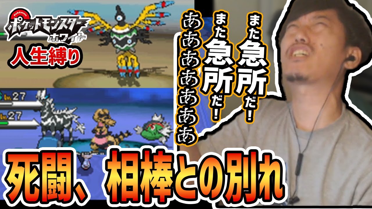 【ポケモンBW】伝説のポケモン（野良）に蹂躙され一番大切な相棒を喪ってしまった２日目のBW【22/8/11】